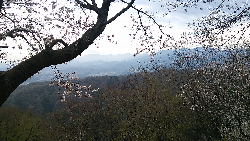 桜＆秩父の山