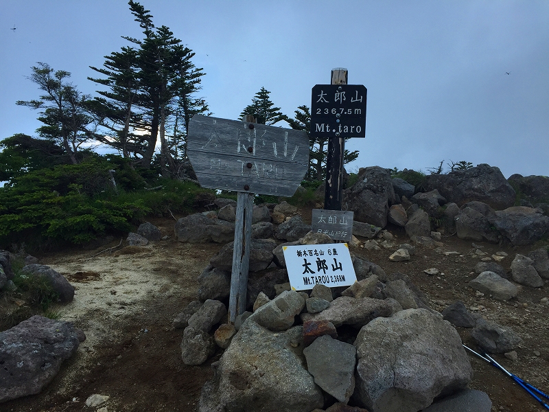 太郎山山頂(標高: 2,368m)