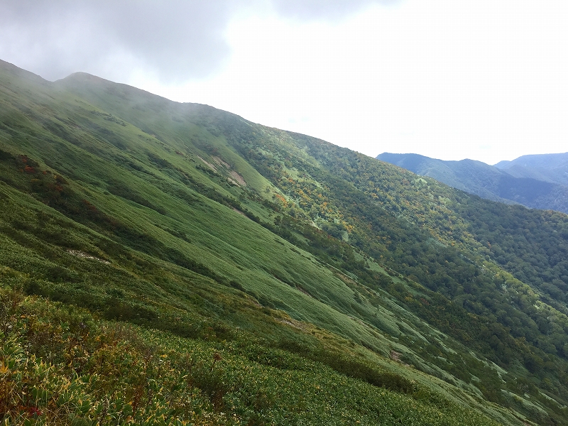 平標山から松手山への下山道での風景をお楽しみください