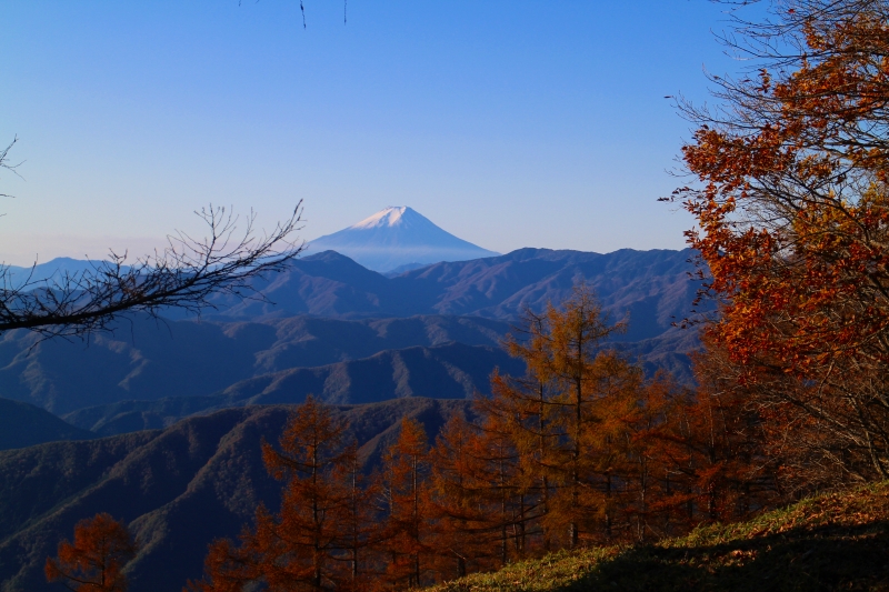 紅葉と富士山１