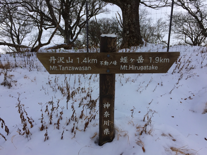 不動ノ峰 (標高: 1,614m)