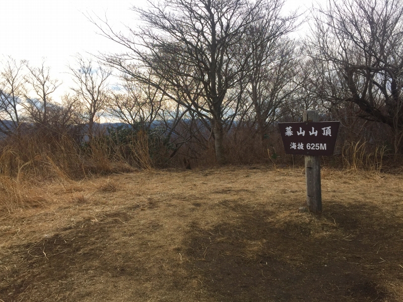 幕山山頂 (標高: 625m)