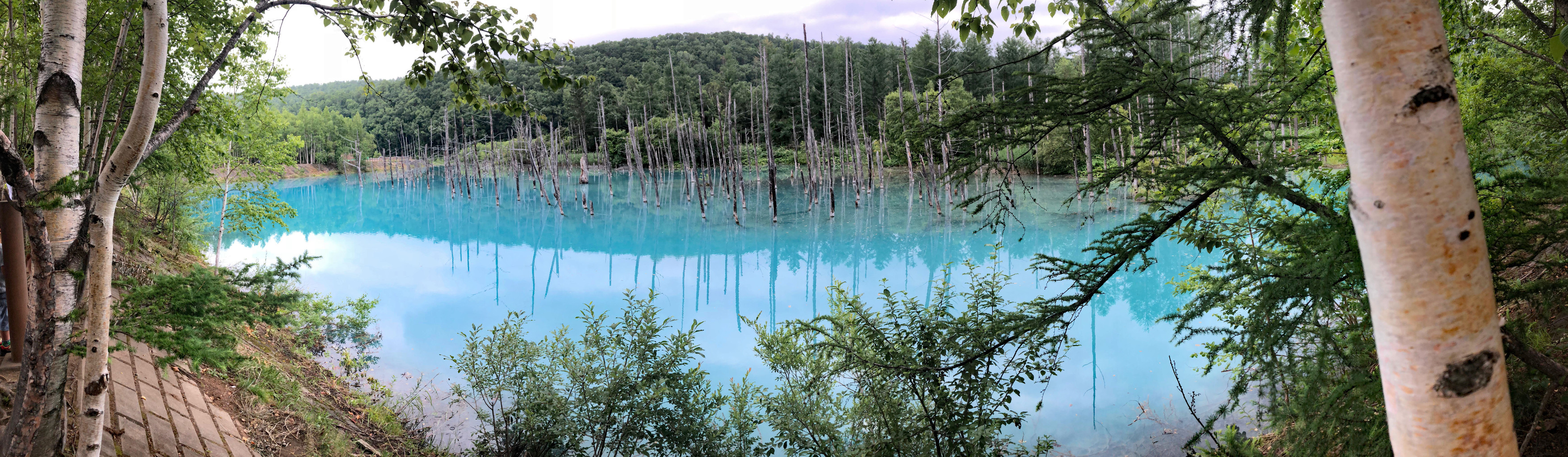 青い池全景