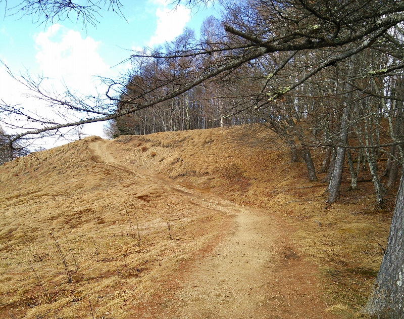 稜線の道