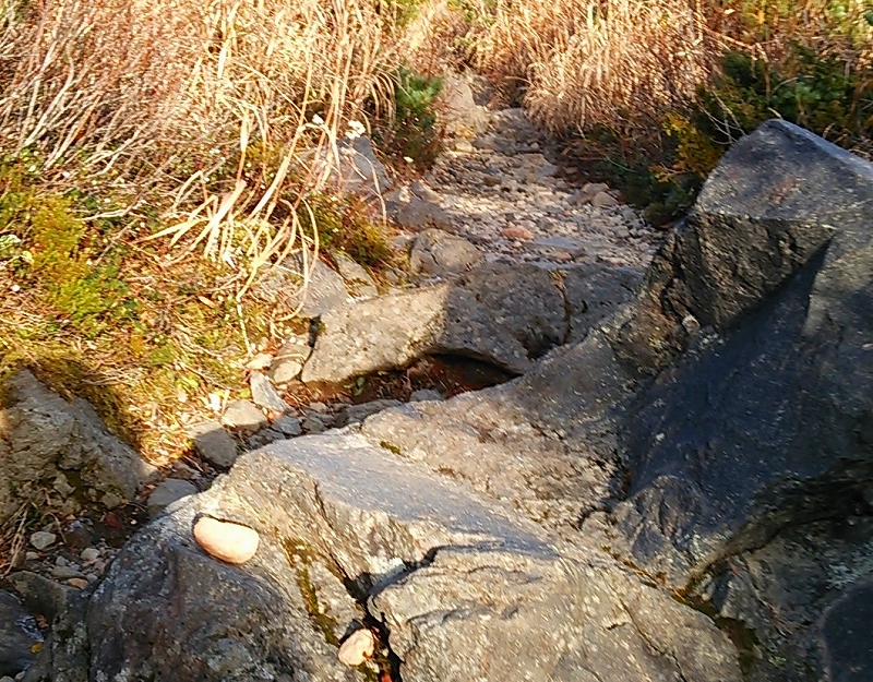 岩の道